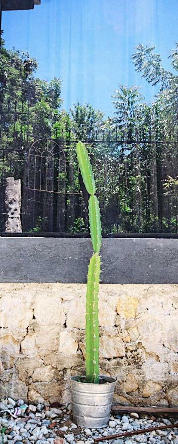 דירות פוארטו אסקונדידו Casita Piedra מראה חיצוני תמונה